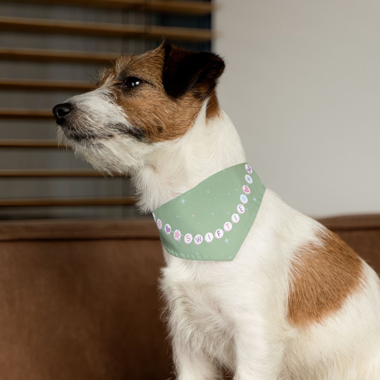 Swiftie Bandana Collar