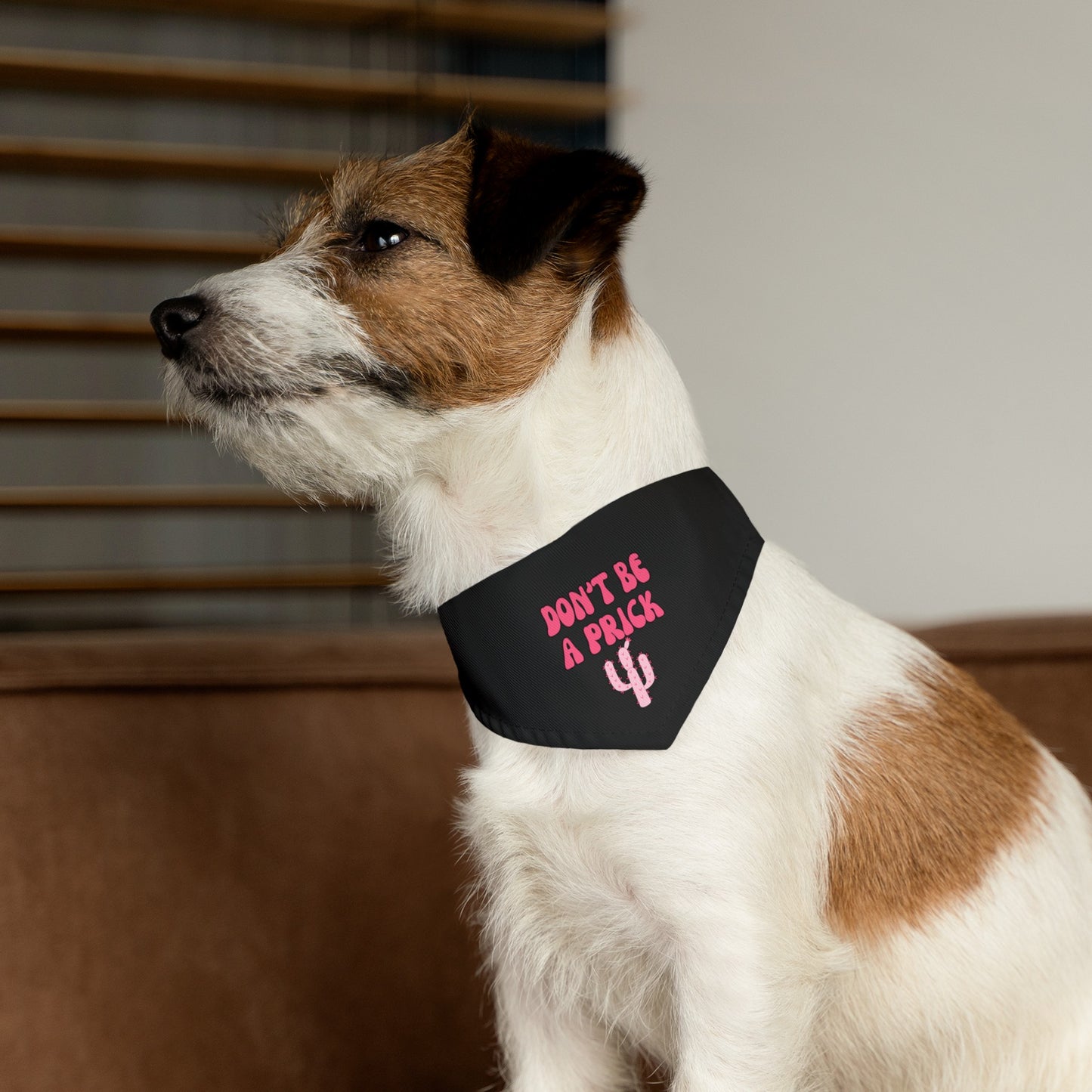 Don't be a Prick Bandana Collar