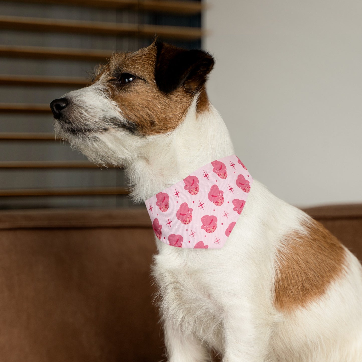 Disco Cowgirl Bandana Collar