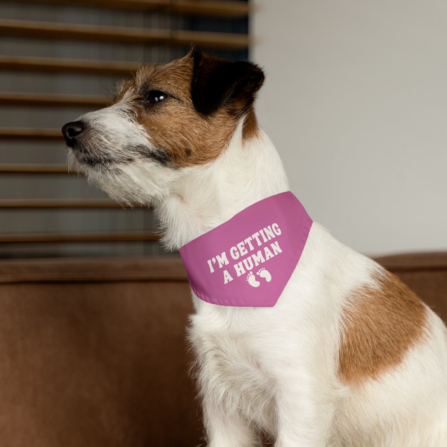 Girl Baby Gender Reveal Bandana Collar