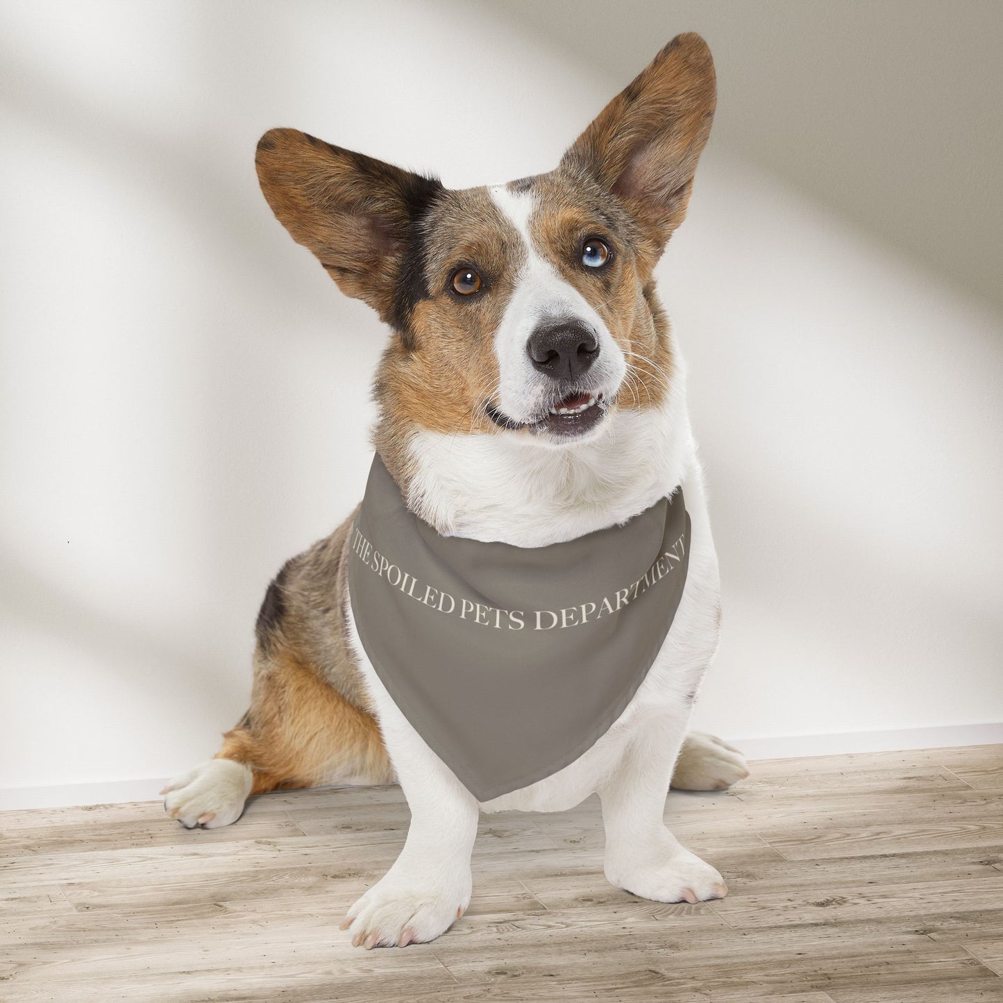 Spoiled Pets Department Bandana Collar