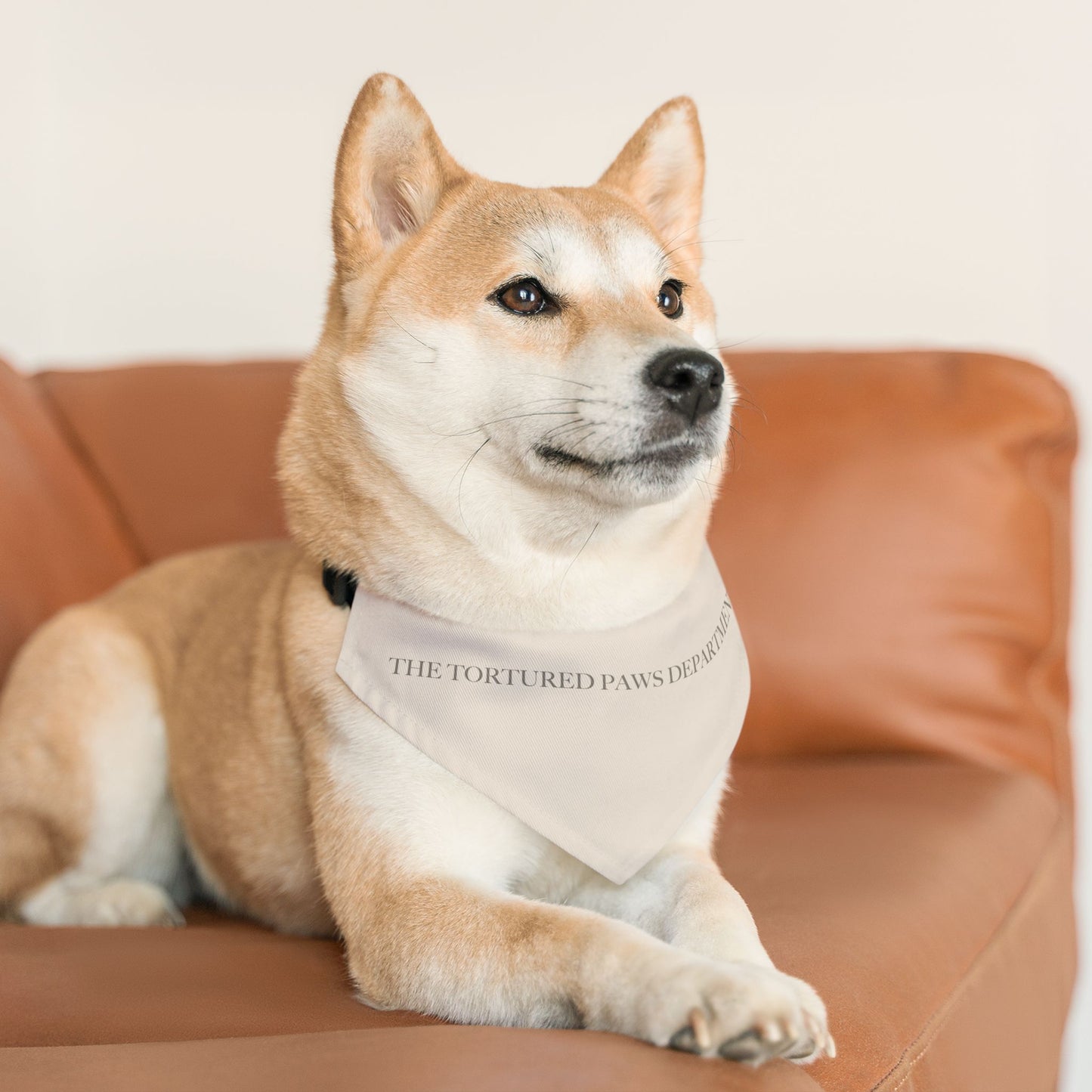 TTPD Swiftie Bandana Collar