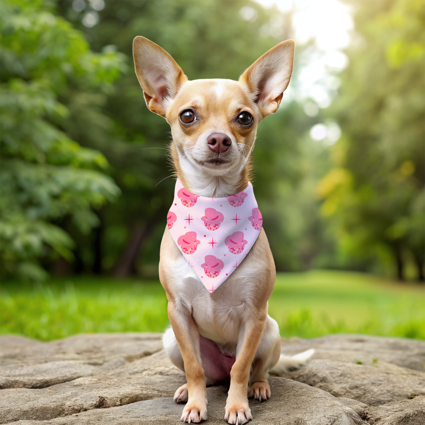 Disco Cowgirl Dog Tie On Bandana