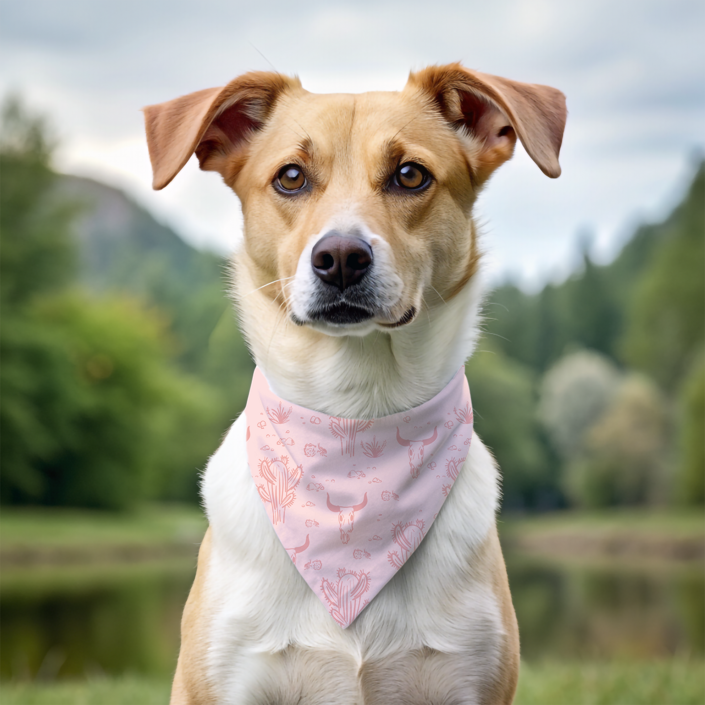 Western Desert Cowgirl Tie On Dog Bandana