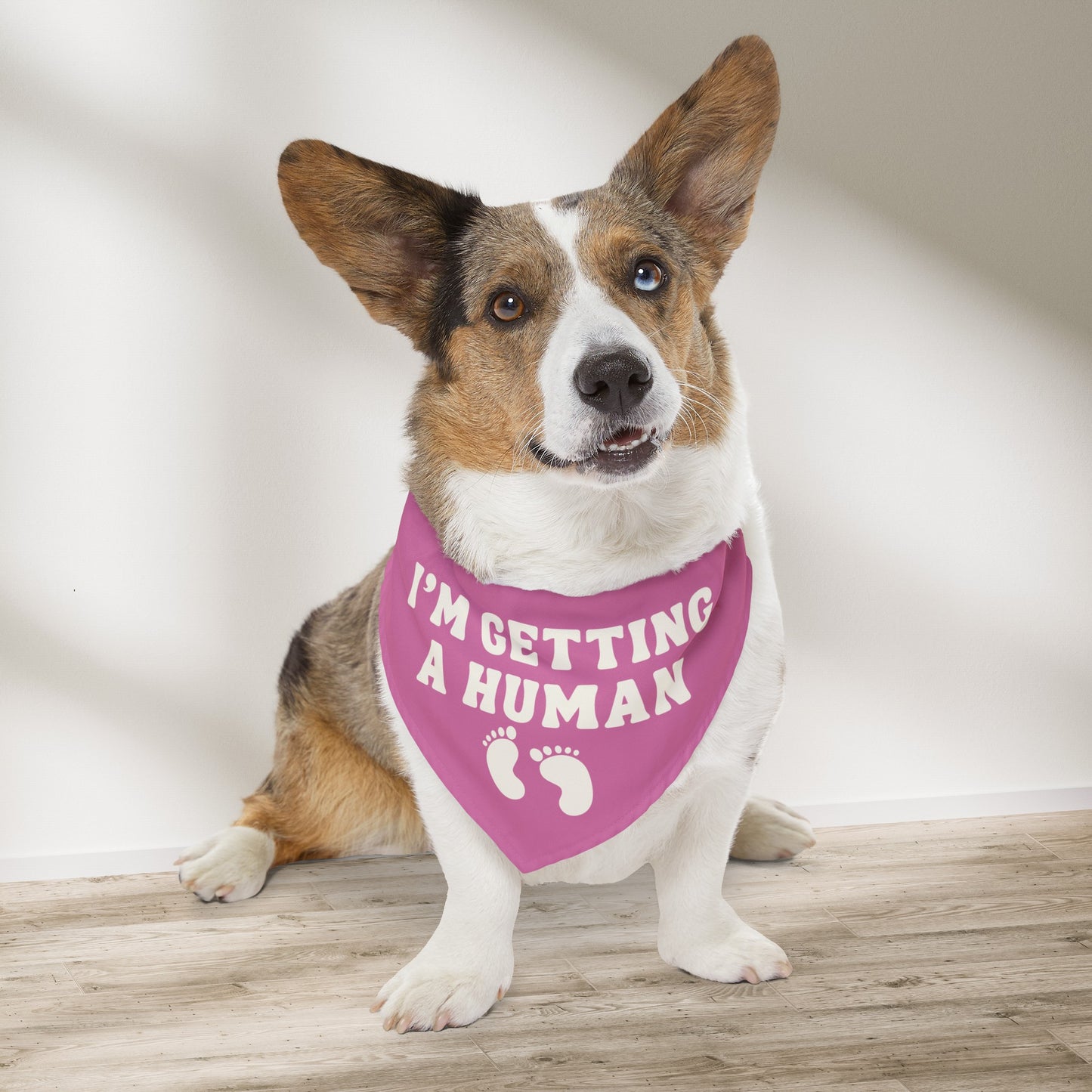 Girl Baby Gender Reveal Bandana Collar