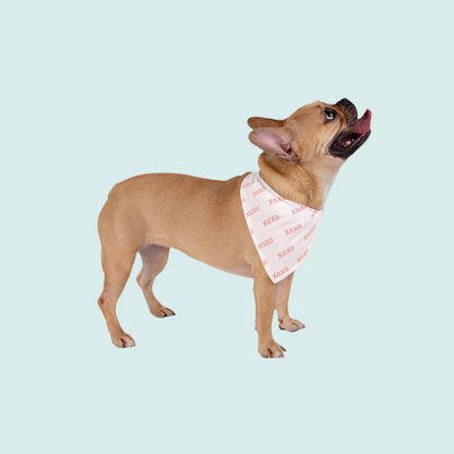 Valentine's XOXO Tie On Dog Bandana