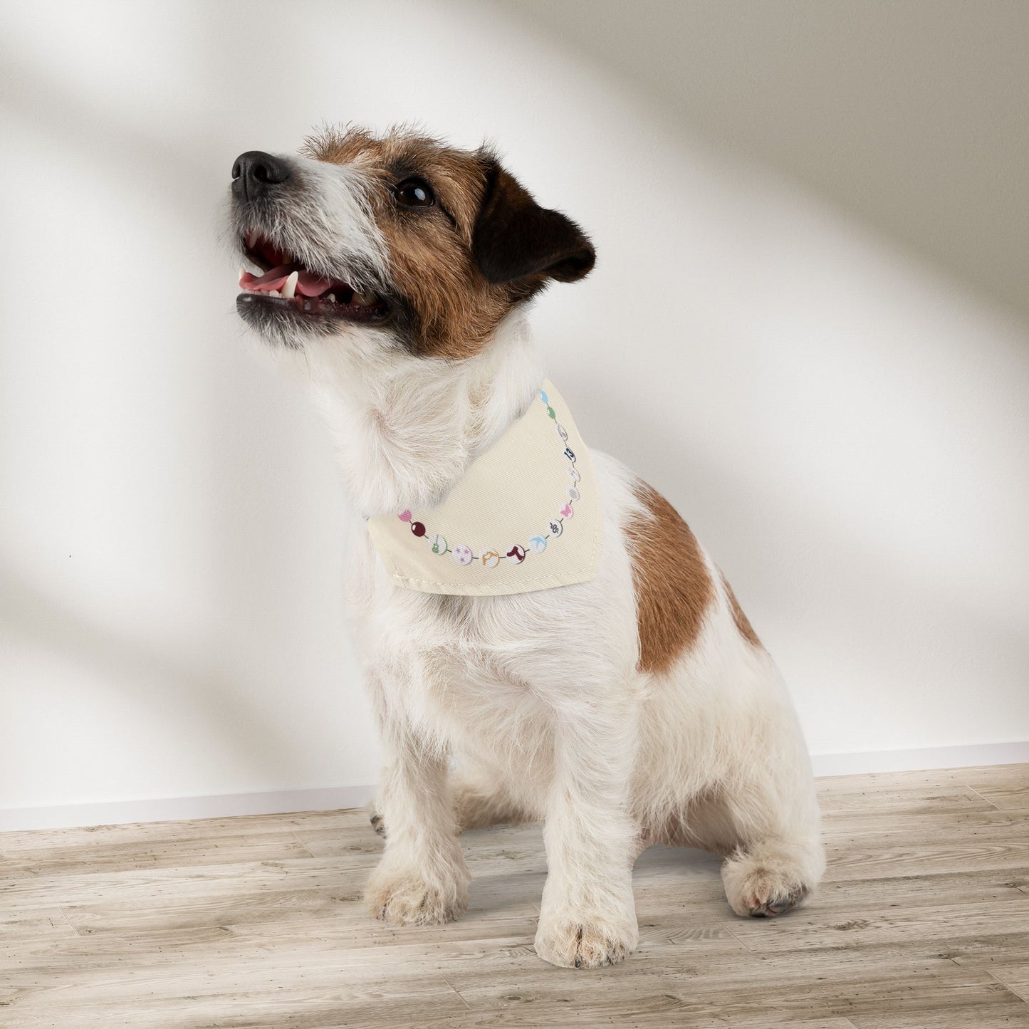 Swiftie Friendship Bracelet Eras Bandana Collar