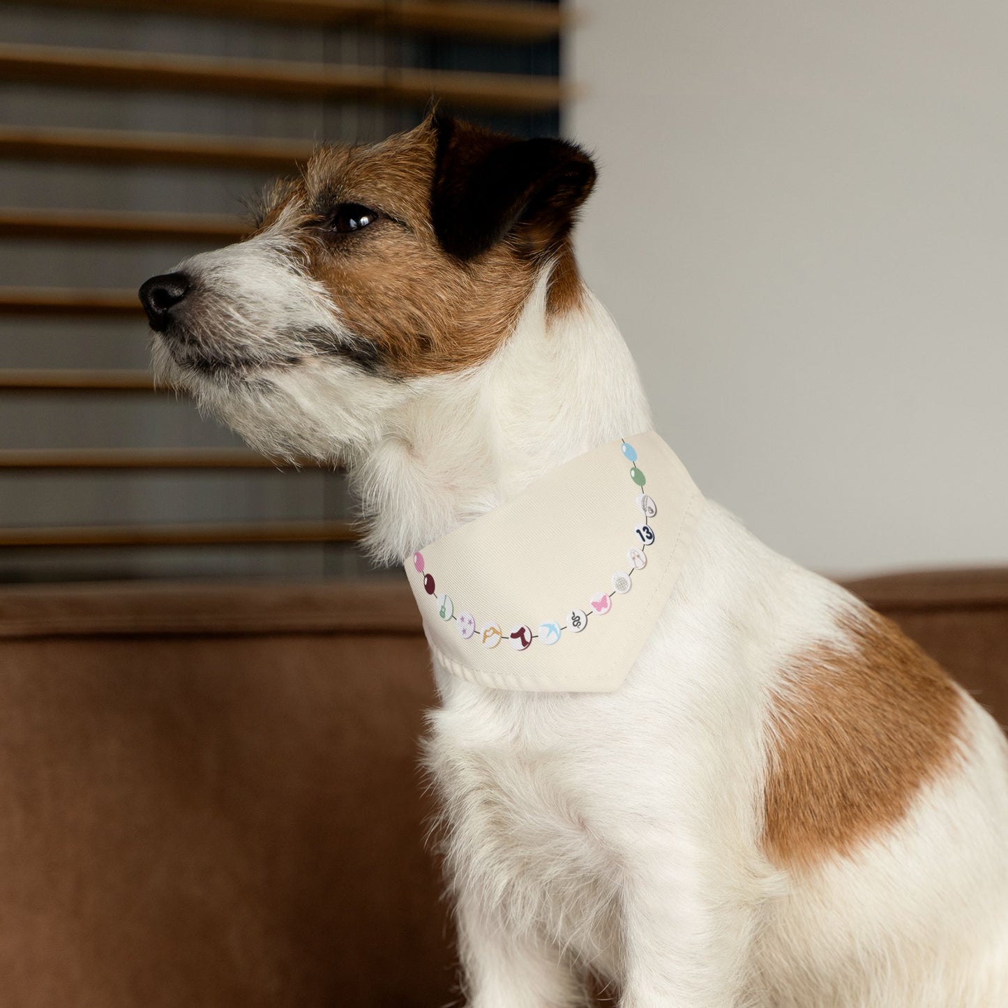 Swiftie Friendship Bracelet Eras Bandana Collar