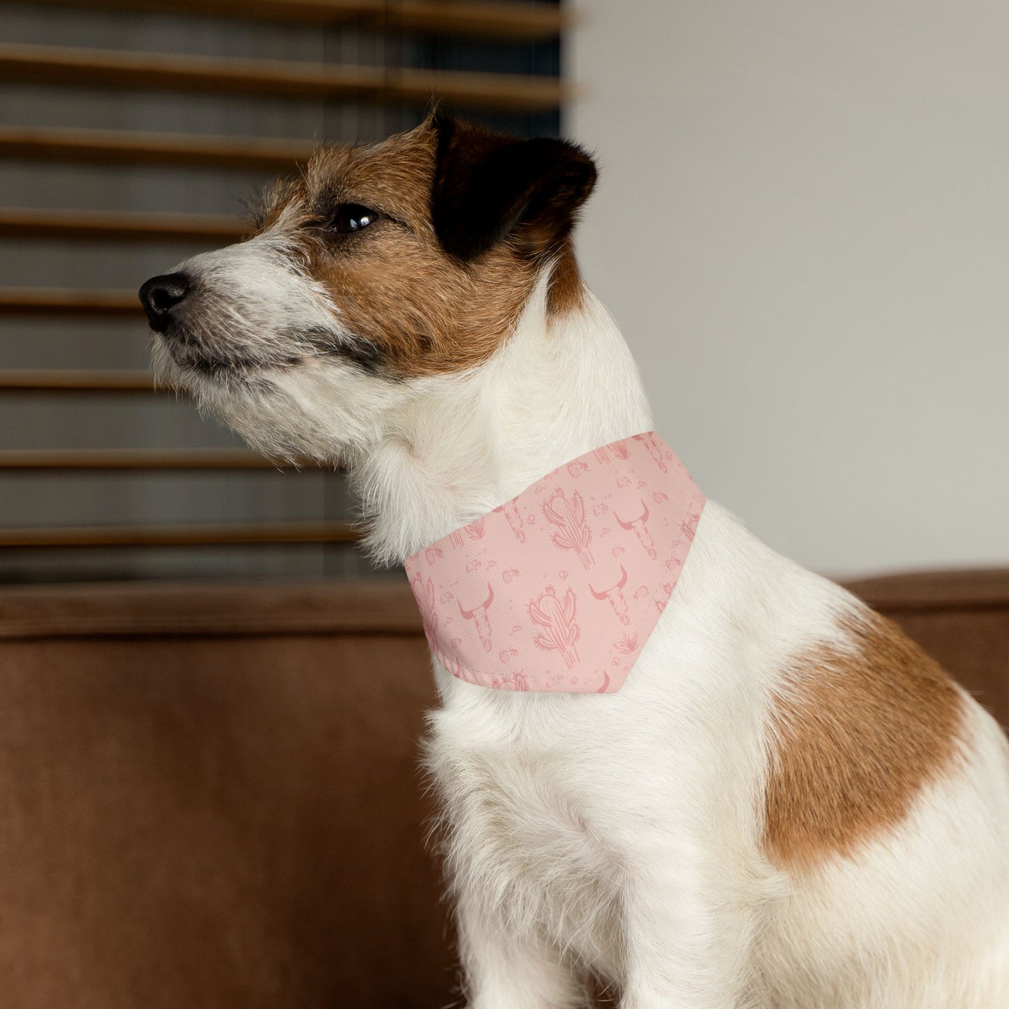 Western Desert Cowgirl Dog Bandana Collar