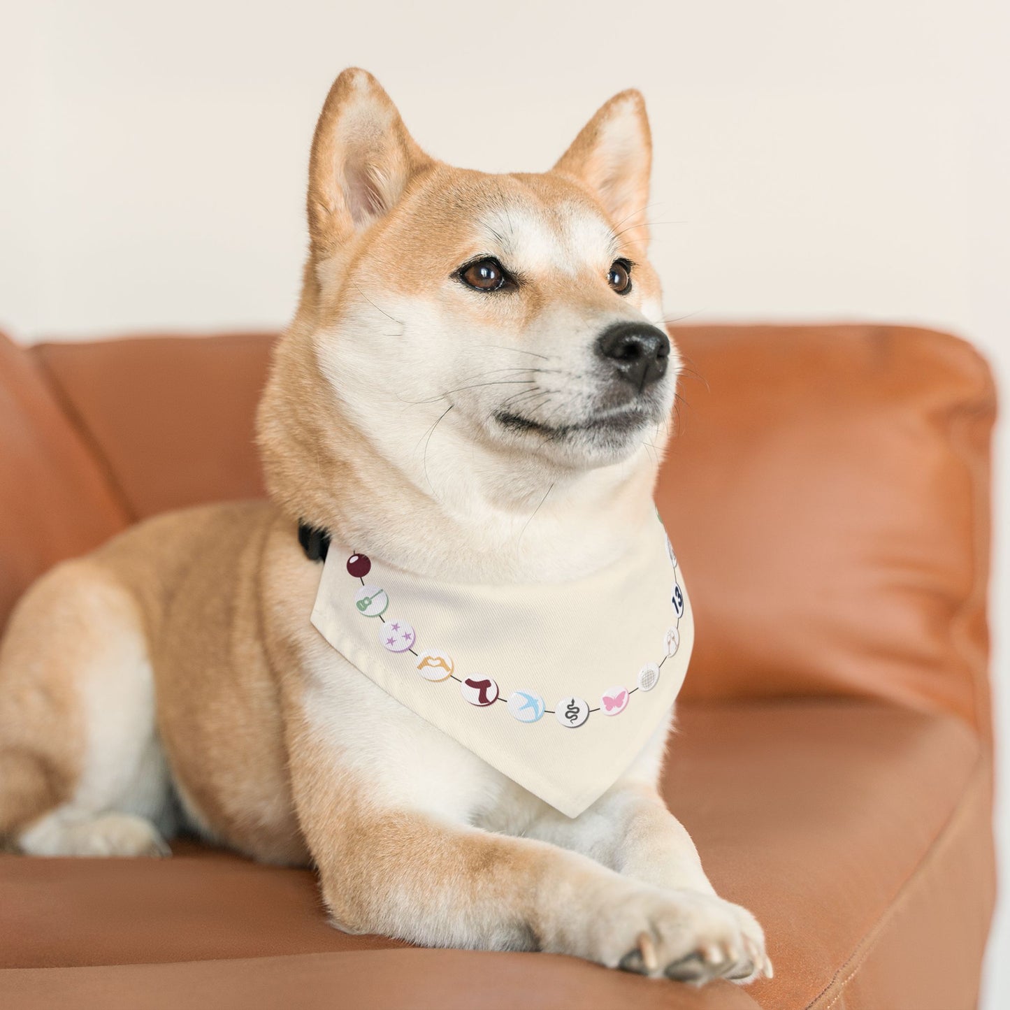 Swiftie Eras Bandana Collar