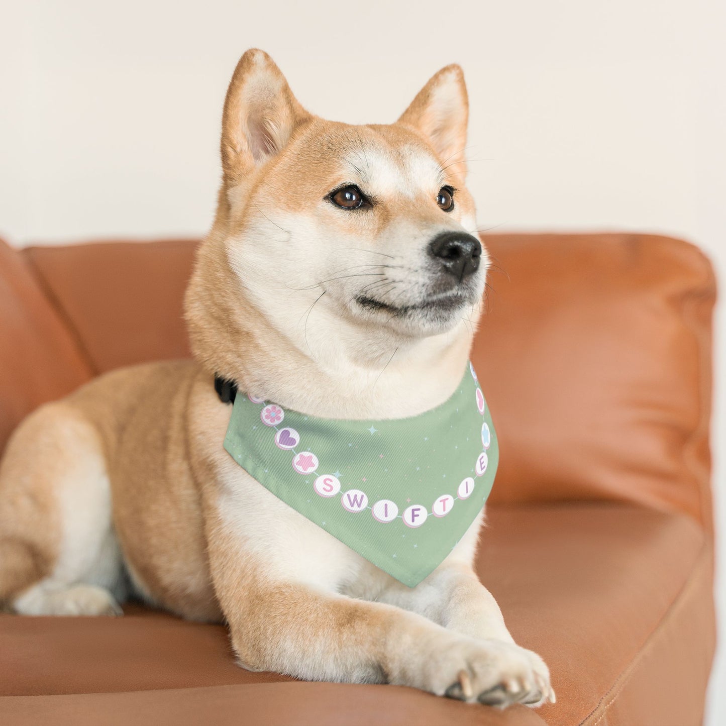 Swiftie Bandana Collar