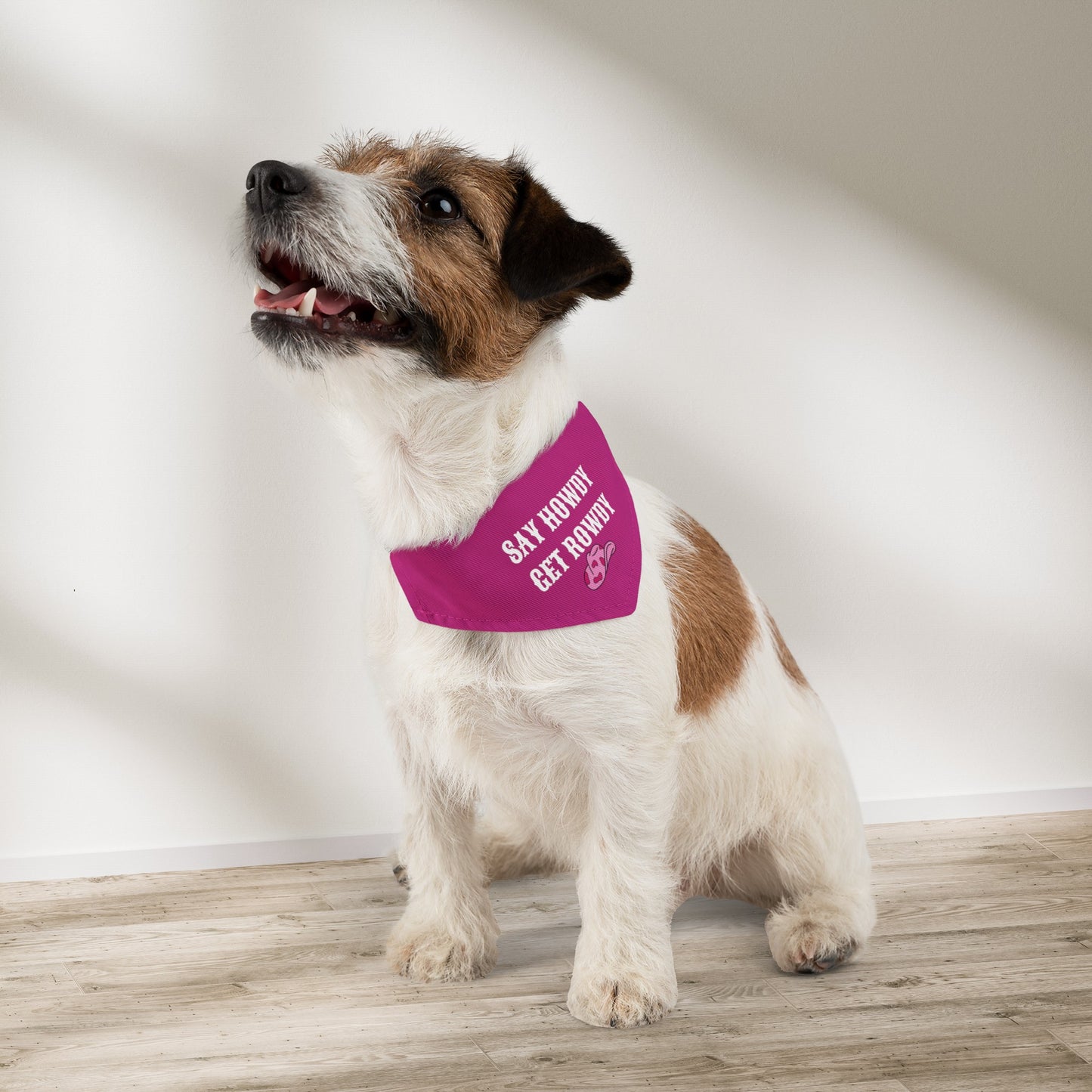 Cowgirl Say Howdy Get Rowdy Bandana Collar